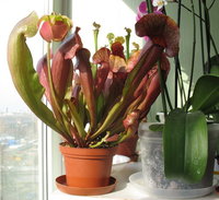 В полный рост...