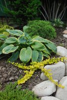 DSCN2831.JPG