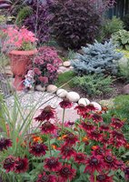 20170816_162717.jpg