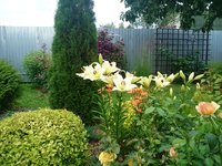 DSC_0306.JPG