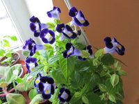 IMG_0486 1.jpg