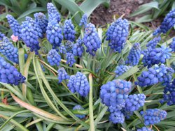 IMG_0491 1.jpg