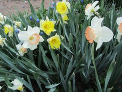 IMG_0496 1.jpg