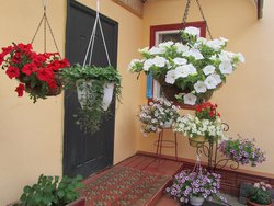 Вход в дом