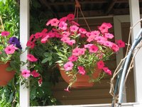 IMG_1167.JPG