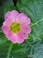 IMG_1139.JPG