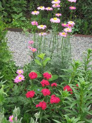 IMG_1124.JPG