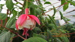 IMG_3404.jpg