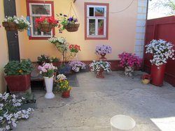 Мой двор. В высокий белый вазон вставлен горшок с петунией, которая куплена, как белая &quot; Соната&quot; от НК Русский огород.