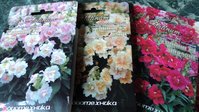 DSC01650.JPG