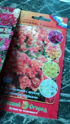 DSC01651.JPG