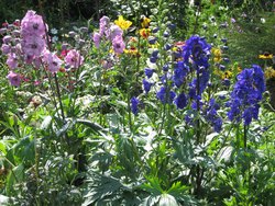 IMG_1300.JPG