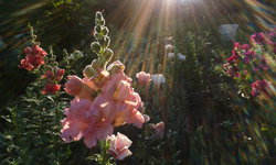 20140807_072421.jpg