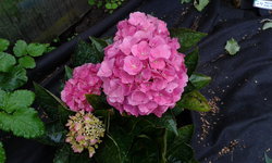 20140907_083845.jpg