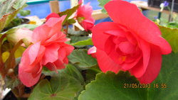 IMG_8416.jpg