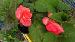 IMG_8332.jpg