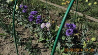IMG_5159.jpg