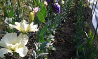 20140812_093850.jpg