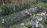 20140826_080607.jpg