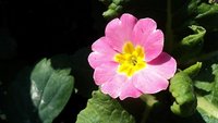 DSC01534.JPG