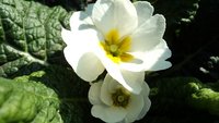 DSC01536.JPG