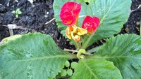 DSC01553.JPG