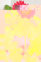 DSCN0380.JPG