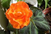DSCN0460.JPG