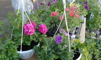 20150507_082833.jpg