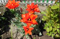 DSCN0529.JPG