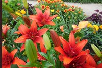 DSCN1134.JPG