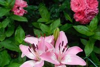 DSCN1068.JPG