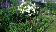 P_20150716_163014.jpg