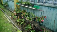 P_20150716_162951.jpg