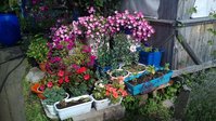 P_20150716_163038.jpg