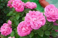 DSCN0841.JPG