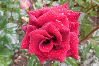 DSCN0851.JPG