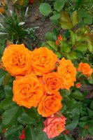 DSCN1247.JPG