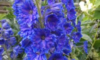 20150718_083413.jpg