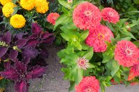 DSCN1326.JPG