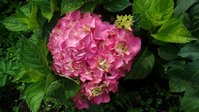 rps20150727_125251.jpg