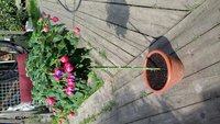 rps20150730_103215.jpg