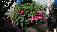 rps20150731_210913.jpg