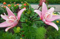DSCN1266.JPG