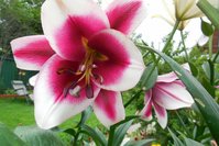 DSCN1338.JPG