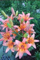 DSCN1146.JPG