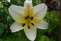 DSCN1340.JPG