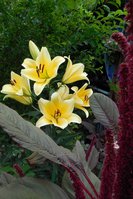 DSCN1477.JPG