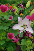 DSCN1483.JPG