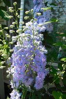DSCN1295.JPG